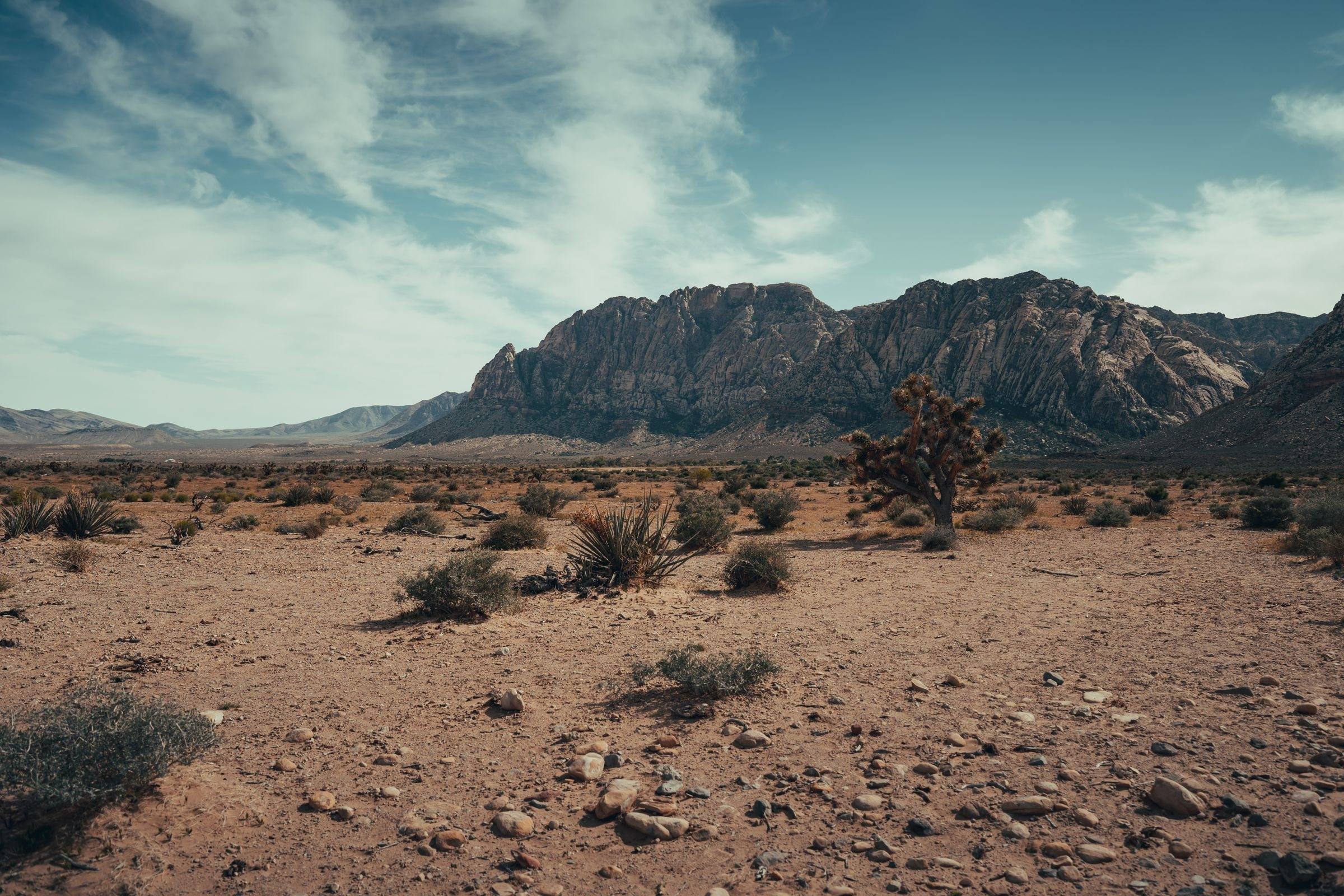 Dry desert scrub in Nevada with mountains on the horizon